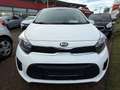 Kia Picanto 1.0 Dream-Team Edition Weiß - thumbnail 3