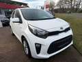 Kia Picanto 1.0 Dream-Team Edition Weiß - thumbnail 1