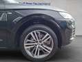 Audi Q5 2.0 TDI quartto S-line NAVI PANO XENON SHZ GRA Schwarz - thumbnail 19