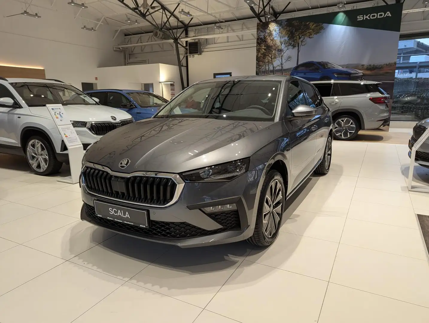 Skoda Scala 1.0 TSI Tour DSG Grau - 2