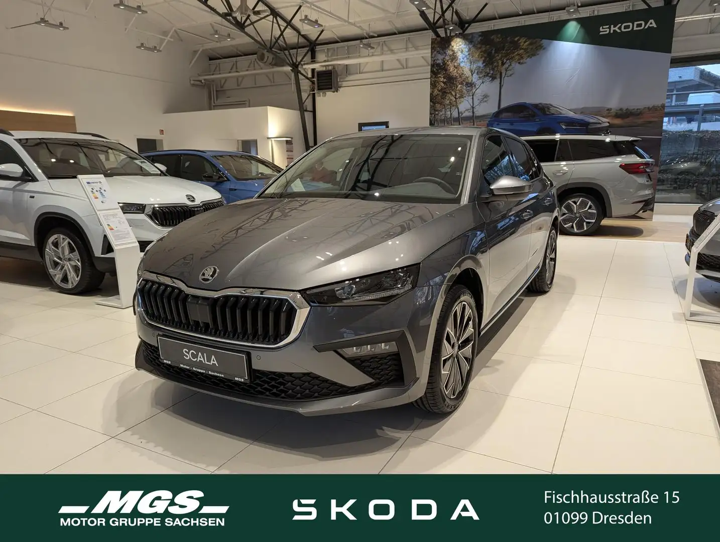 Skoda Scala 1.0 TSI Tour DSG Grau - 1