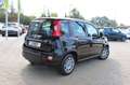 Fiat Panda Hybrid 1.0 GSE PDC hinten, Klima, DAB Schwarz - thumbnail 3