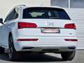 Audi Q5 2,0 TDI quattro sport S-tronic *Virtual*LED*ACC* Weiß - thumbnail 10