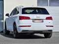 Audi Q5 2,0 TDI quattro sport S-tronic *Virtual*LED*ACC* Weiß - thumbnail 9
