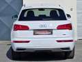 Audi Q5 2,0 TDI quattro sport S-tronic *Virtual*LED*ACC* Weiß - thumbnail 7