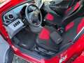Suzuki Alto Alto 1.0 Club-121-TKM-1.Hand-Klima- Rot - thumbnail 8