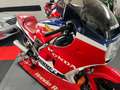 Honda VFR 1000 Rosso - thumbnail 5