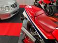 Honda VFR 1000 Rosso - thumbnail 7