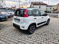 Fiat Panda Panda III 2021 1.0 firefly hybrid City Life s Bianco - thumbnail 2