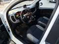 Fiat Panda Panda III 2021 1.0 firefly hybrid City Life s Bianco - thumbnail 6
