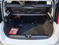 Fiat Panda Panda III 2021 1.0 firefly hybrid City Life s Bianco - thumbnail 15
