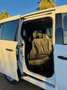 Renault Kangoo Fg. 1.5Blue dCi Profesional 70kW Blanco - thumbnail 10