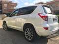 Toyota RAV 4 RAV4 Crossover 2.2 d-4d Executive 150cv auto Bianco - thumbnail 3