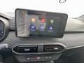 Dacia Sandero Stepway 1.0 tce Comfort Eco-g 100cv Rosso - thumbnail 15