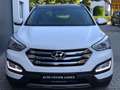 Hyundai SANTA FE Premium 4WD Xenon Navi Leder Kamera Weiß - thumbnail 3