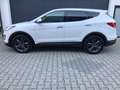 Hyundai SANTA FE Premium 4WD Xenon Navi Leder Kamera Weiß - thumbnail 9