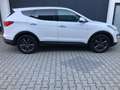 Hyundai SANTA FE Premium 4WD Xenon Navi Leder Kamera Weiß - thumbnail 5