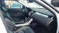 Land Rover 2.0L eD4 Diesel 110kW (150CV) 4x2 SE Blanco - thumbnail 14