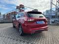 Ford Kuga Plug-In Hybrid ST-Line X 2.5 Duratec  AHK-klappbar Rot - thumbnail 5