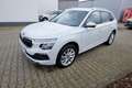 Skoda Kamiq 1.0 TSI DSG Selection Kame/SH/PDC/ALU Blanco - thumbnail 1