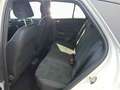 Volkswagen T-Roc 1.5 TSI DSG Black Style LED ACC Navi CAM Grau - thumbnail 6