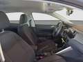 Volkswagen Polo 1.0 TSI 2x PDC Alufelge Silber - thumbnail 13