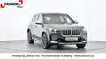 BMW iX1 xDrive30 U11 XE2 Gris - thumbnail 2