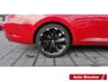 Skoda Superb SportLine 1.5 TSI ACT  Sportline AHK Navi Rot - thumbnail 8