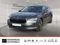 Skoda Superb Combi 2.0 TDI DSG Selection AHK Matrix Grau - thumbnail 1