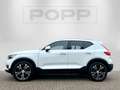 Volvo XC40 D4 AWD Inscription 360° 4x SHZ ACC H&K PANO Wit - thumbnail 3
