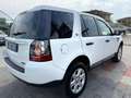 Land Rover Freelander Freelander 2.2 eD4 2WD S.W. S Blanc - thumbnail 6