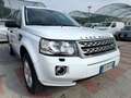 Land Rover Freelander Freelander 2.2 eD4 2WD S.W. S Blanc - thumbnail 7