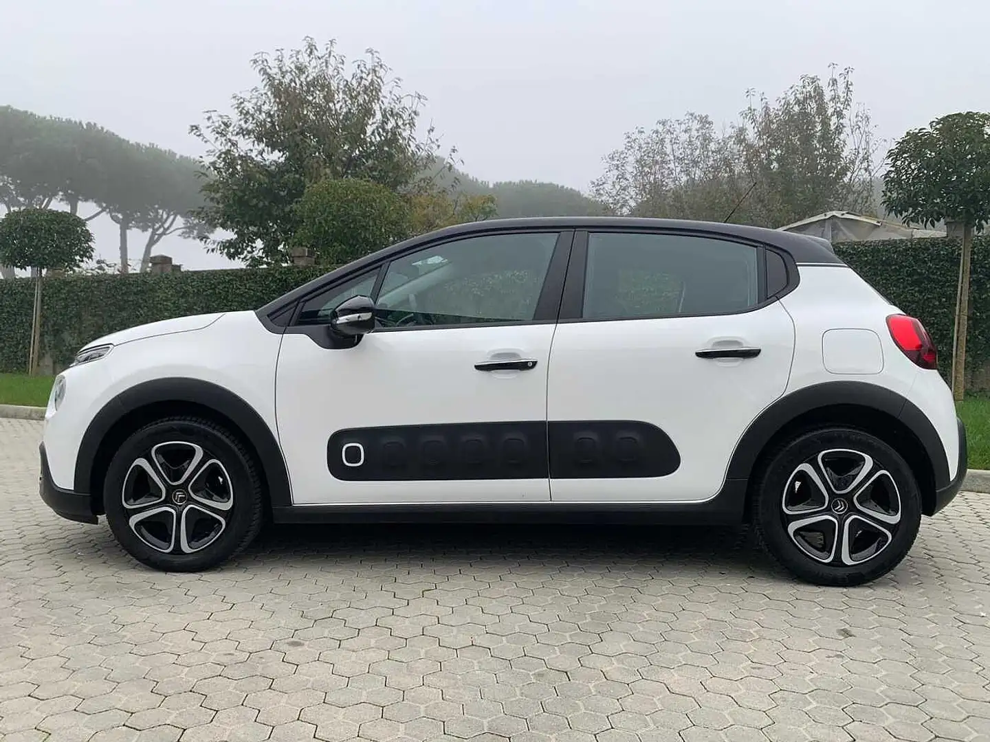 Citroen C3 3ª serie PureTech 82 S&S Shine Blanc - 2