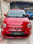 Fiat 500 500 1.0 hybrid Cult 70cv Rosso - thumbnail 1