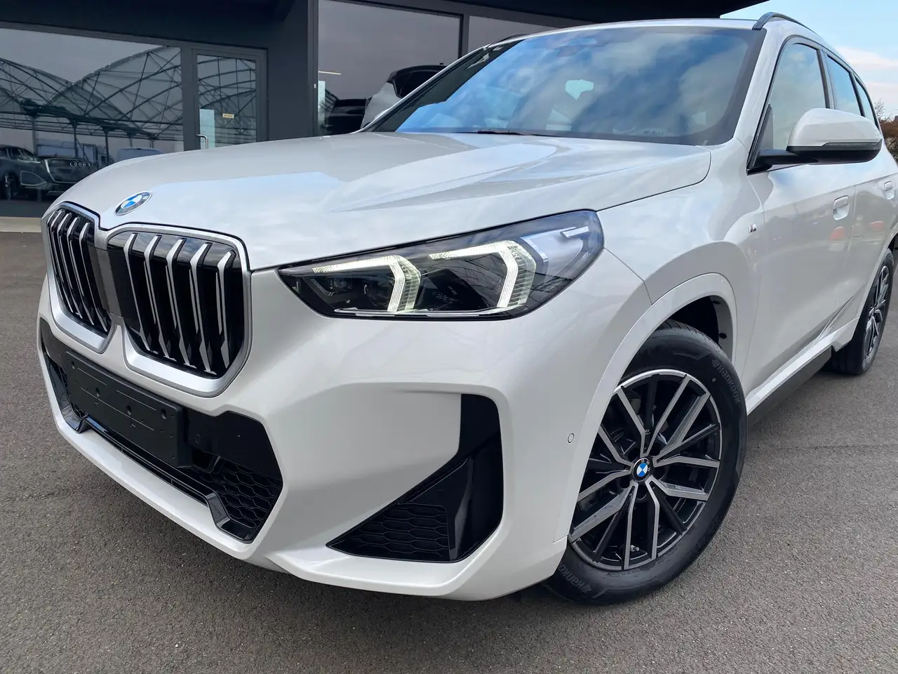 BMW X1 sDrive 18d MSport CERCHI 18,PELLE,KEYLESS 6