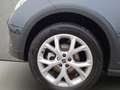 SEAT Arona 1.0 TSI FR DSG Rückfahrkamera Winterpaket Gris - thumbnail 20
