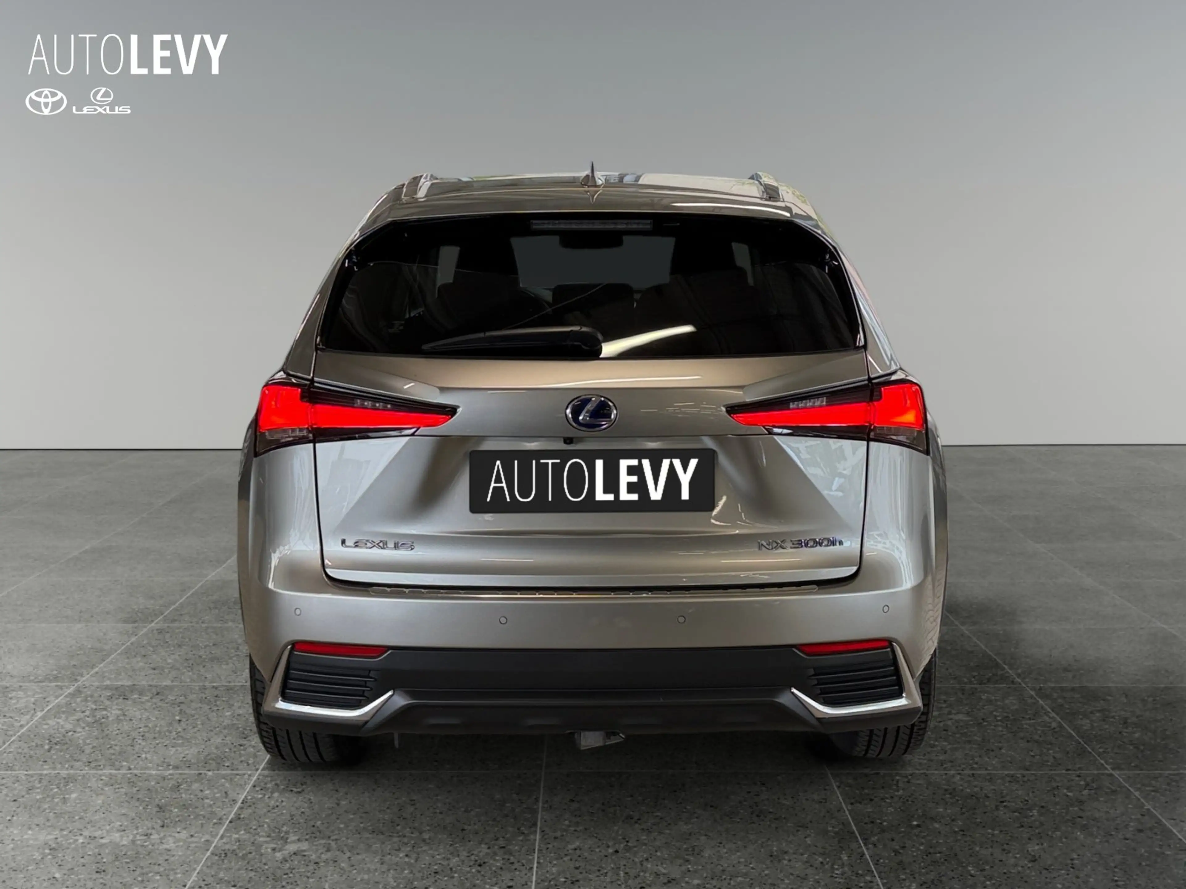 Lexus NX 300h NX 300 h Luxury Line +360 Kamera+Navi+Pano+ — photo 5