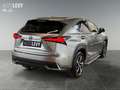 Lexus NX 300h NX 300 h Luxury Line +360 Kamera+Navi+Pano+ Silber - thumbnail 6
