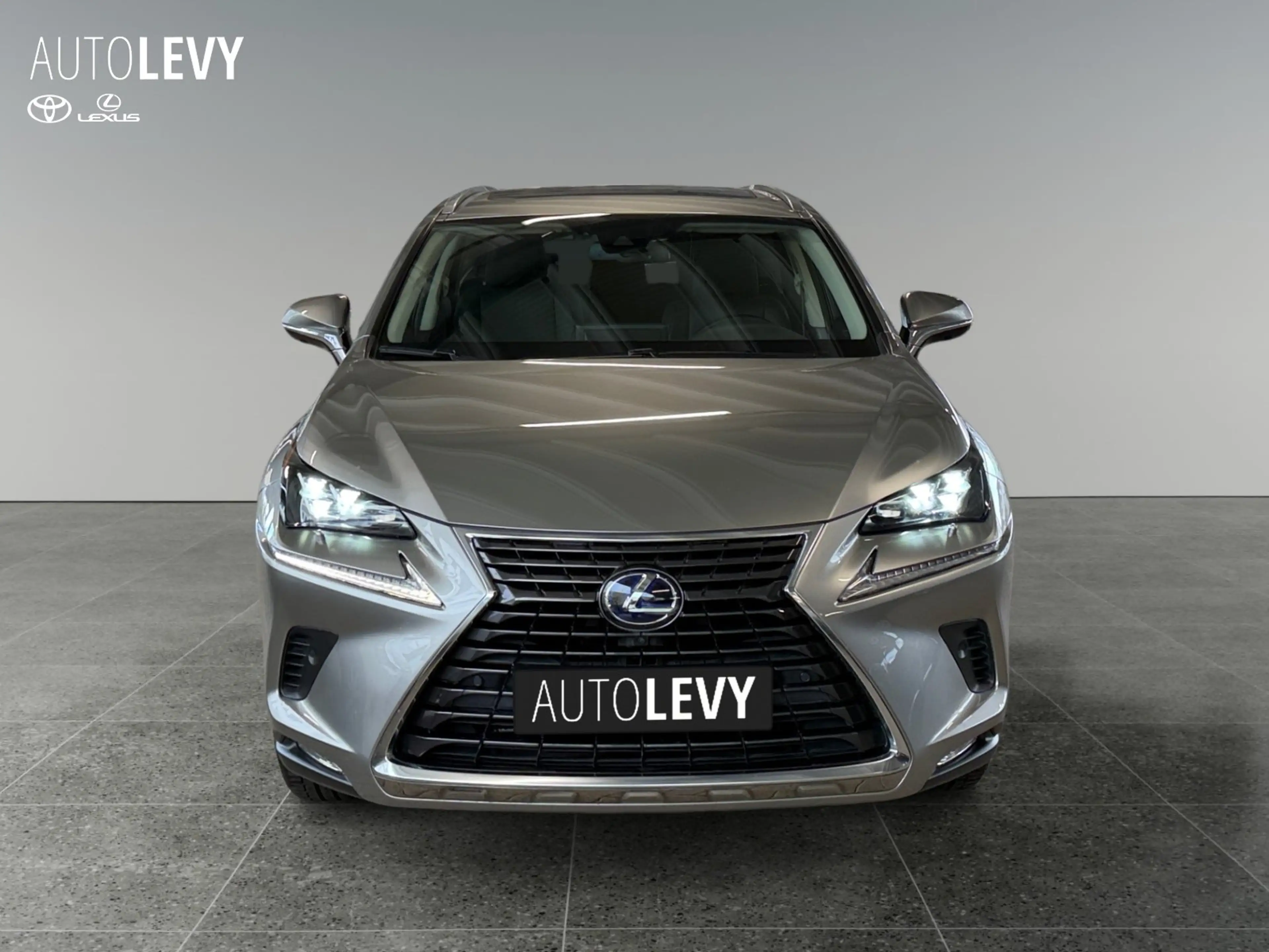 Lexus NX 300h NX 300 h Luxury Line +360 Kamera+Navi+Pano+ — photo 9