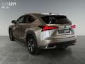Lexus NX 300h NX 300 h Luxury Line +360 Kamera+Navi+Pano+ Silber - thumbnail 4