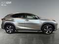 Lexus NX 300h NX 300 h Luxury Line +360 Kamera+Navi+Pano+ Silber - thumbnail 7