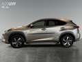 Lexus NX 300h NX 300 h Luxury Line +360 Kamera+Navi+Pano+ Silber - thumbnail 3