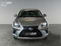 Lexus NX 300h NX 300 h Luxury Line +360 Kamera+Navi+Pano+ Silber - thumbnail 9