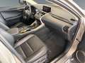 Lexus NX 300h NX 300 h Luxury Line +360 Kamera+Navi+Pano+ Silber - thumbnail 16