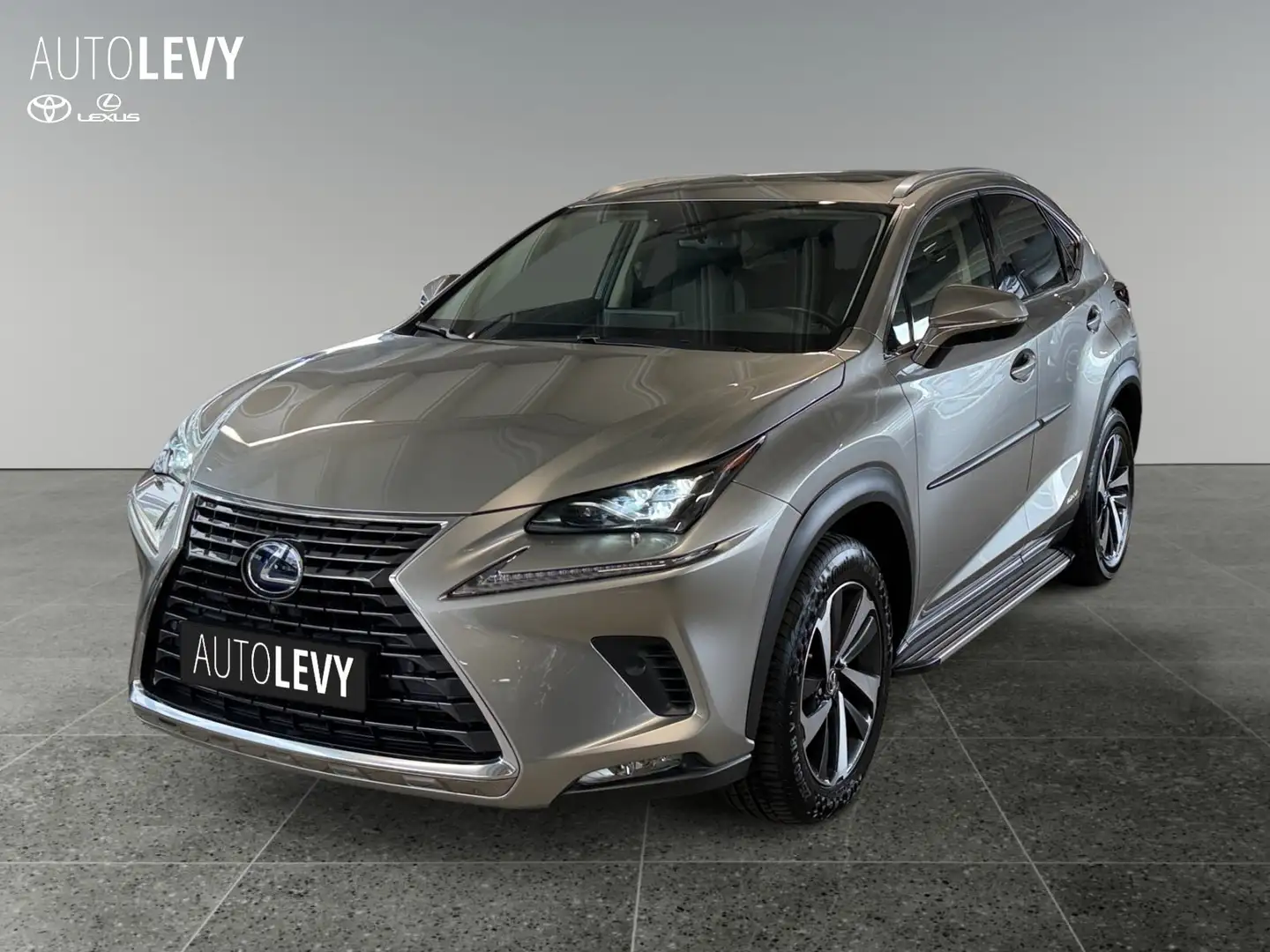 Lexus NX 300h NX 300 h Luxury Line +360 Kamera+Navi+Pano+ Silber - 2