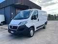 Fiat Ducato (PC) 30 Ch1 / L1H1 2.3 Multijet 16v 130cv FURGONE Bianco - thumbnail 1