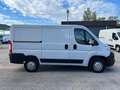Fiat Ducato (PC) 30 Ch1 / L1H1 2.3 Multijet 16v 130cv FURGONE Bianco - thumbnail 3