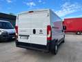 Fiat Ducato (PC) 30 Ch1 / L1H1 2.3 Multijet 16v 130cv FURGONE Bianco - thumbnail 4