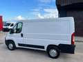 Fiat Ducato (PC) 30 Ch1 / L1H1 2.3 Multijet 16v 130cv FURGONE Bianco - thumbnail 6