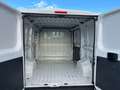 Fiat Ducato (PC) 30 Ch1 / L1H1 2.3 Multijet 16v 130cv FURGONE Bianco - thumbnail 9